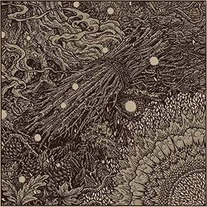Packwood Hibernal Artwork